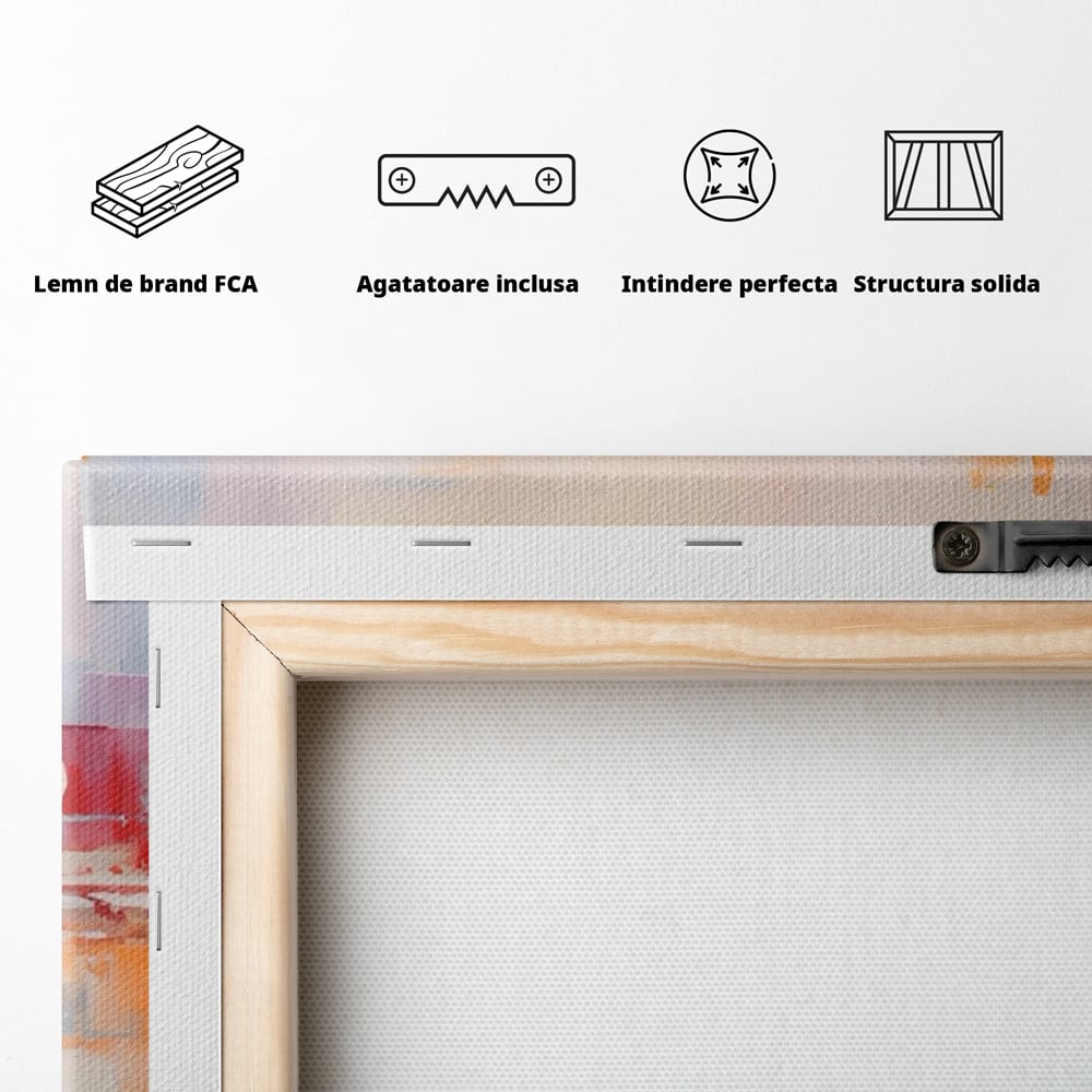 Spatele produsului, cu sasiu din lemn, capse metalice si agatatoare